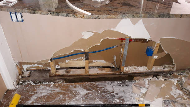 Best 24-hour water damage restoration  in Montegut, LA