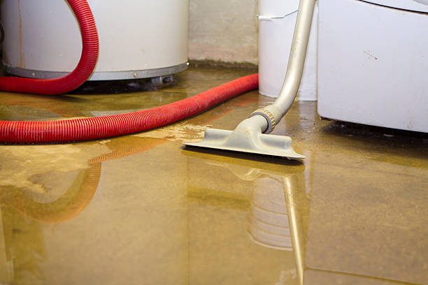 Best Fire Damage Restoration  in Montegut, LA