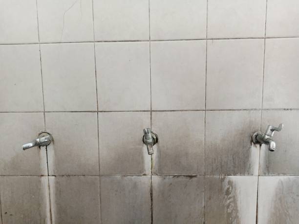 Best Ceiling water damage repair  in Montegut, LA