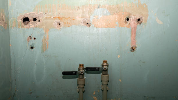 Best Sewage cleanup and water damage restoration  in Montegut, LA