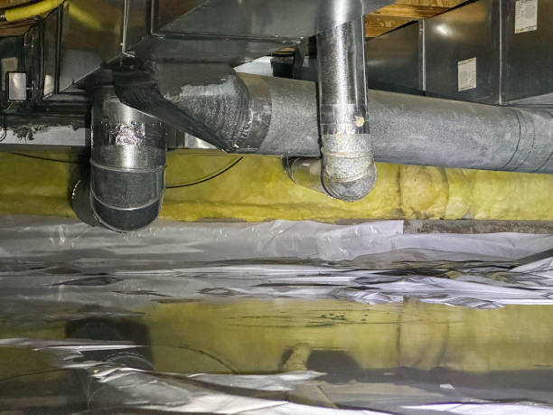 Best Flood damage cleanup  in Montegut, LA