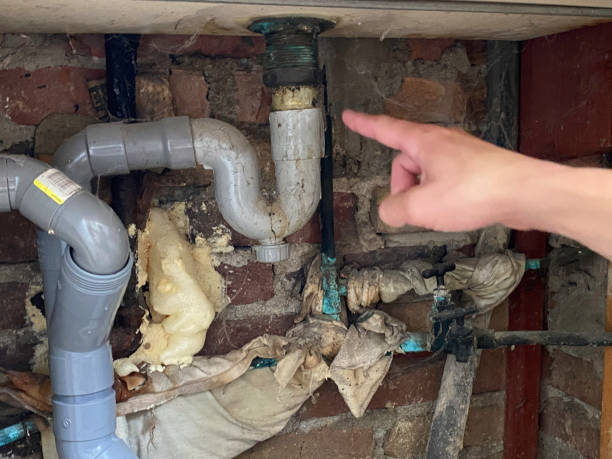 Best Water damage cleanup near me  in Montegut, LA