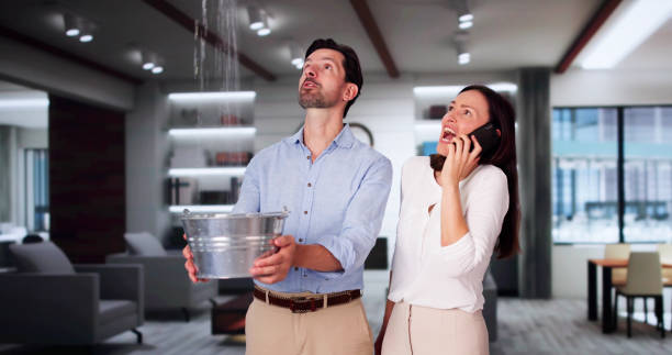 Best Carpet water damage restoration  in Montegut, LA